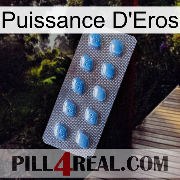 Eros Power viagra3